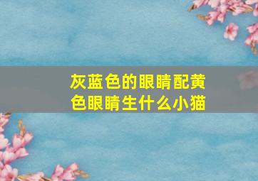 灰蓝色的眼睛配黄色眼睛生什么小猫