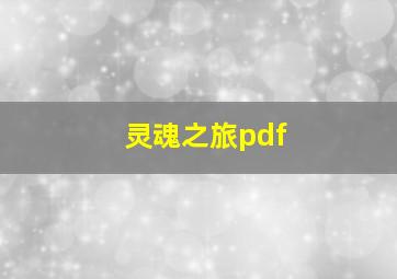 灵魂之旅pdf