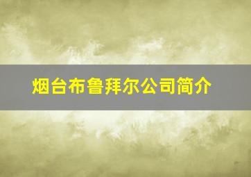 烟台布鲁拜尔公司简介