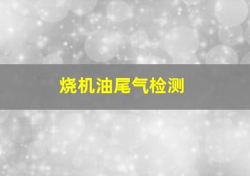 烧机油尾气检测