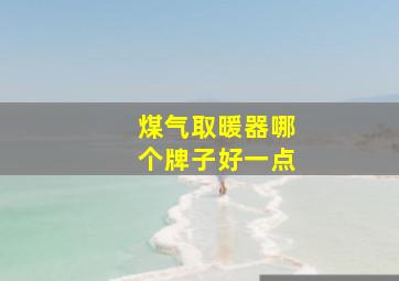 煤气取暖器哪个牌子好一点