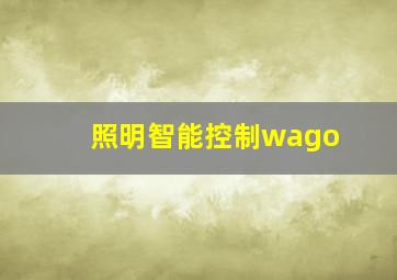 照明智能控制wago