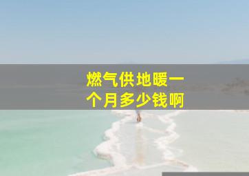 燃气供地暖一个月多少钱啊