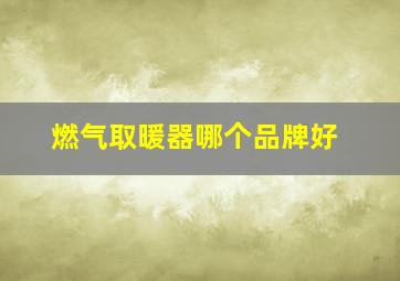 燃气取暖器哪个品牌好