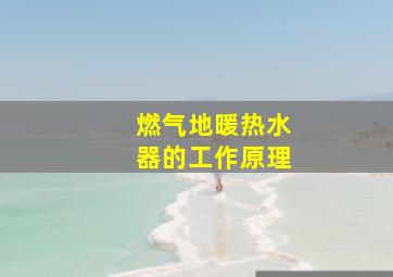 燃气地暖热水器的工作原理