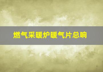 燃气采暖炉暖气片总响