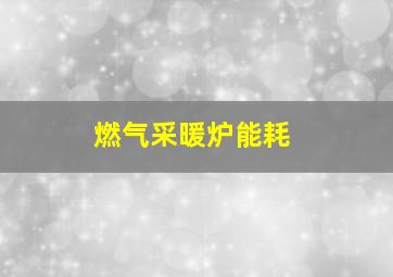 燃气采暖炉能耗