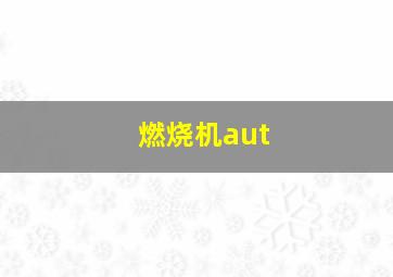 燃烧机aut