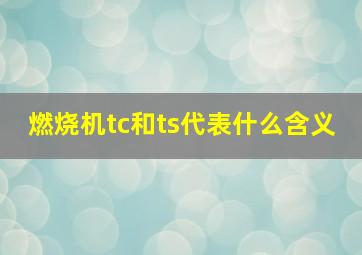 燃烧机tc和ts代表什么含义