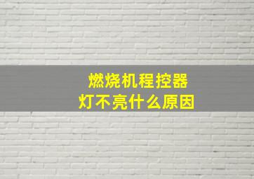 燃烧机程控器灯不亮什么原因