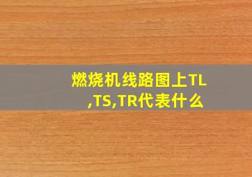 燃烧机线路图上TL,TS,TR代表什么