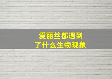 爱丽丝都遇到了什么生物现象