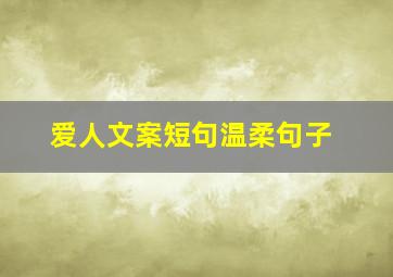 爱人文案短句温柔句子