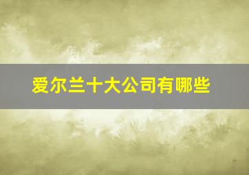 爱尔兰十大公司有哪些