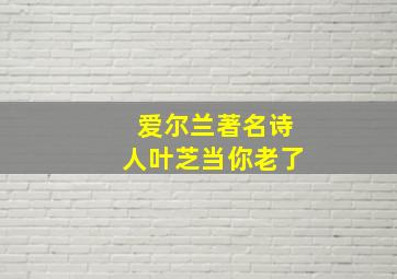 爱尔兰著名诗人叶芝当你老了