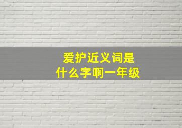 爱护近义词是什么字啊一年级