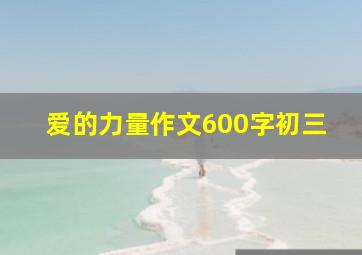 爱的力量作文600字初三