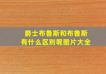 爵士布鲁斯和布鲁斯有什么区别呢图片大全