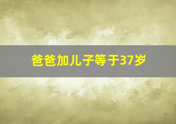 爸爸加儿子等于37岁