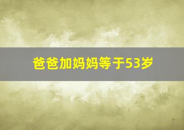 爸爸加妈妈等于53岁