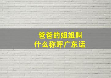 爸爸的姐姐叫什么称呼广东话