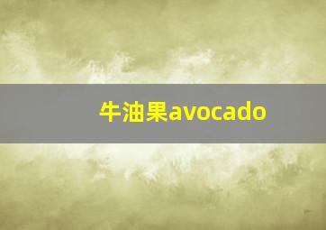 牛油果avocado