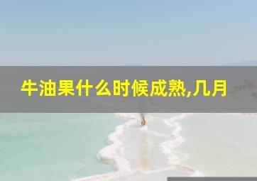 牛油果什么时候成熟,几月