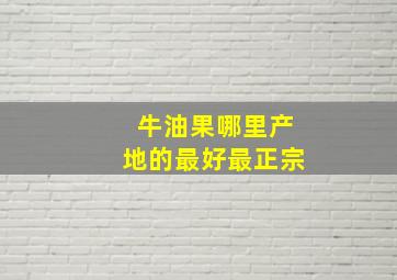 牛油果哪里产地的最好最正宗