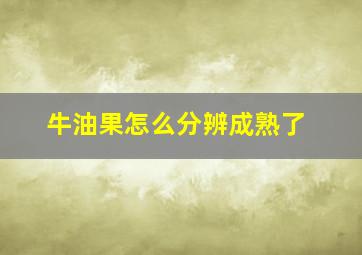 牛油果怎么分辨成熟了