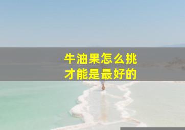 牛油果怎么挑才能是最好的