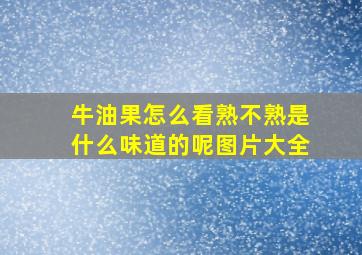 牛油果怎么看熟不熟是什么味道的呢图片大全