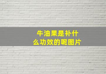 牛油果是补什么功效的呢图片