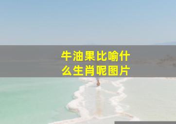 牛油果比喻什么生肖呢图片