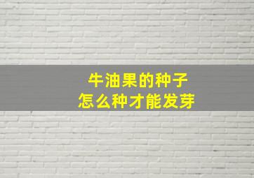 牛油果的种子怎么种才能发芽