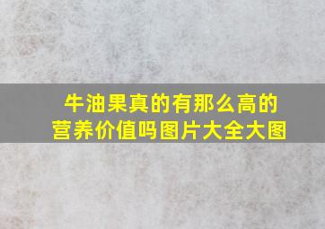 牛油果真的有那么高的营养价值吗图片大全大图