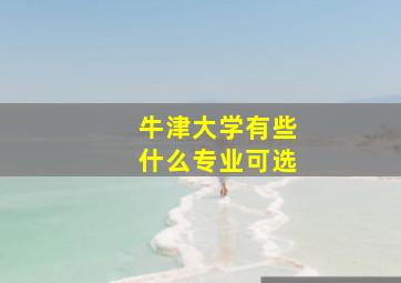 牛津大学有些什么专业可选