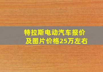 特拉斯电动汽车报价及图片价格25万左右