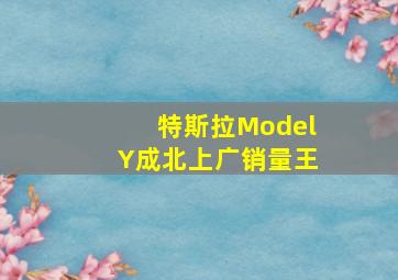 特斯拉ModelY成北上广销量王