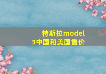 特斯拉model3中国和美国售价