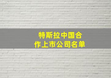 特斯拉中国合作上市公司名单