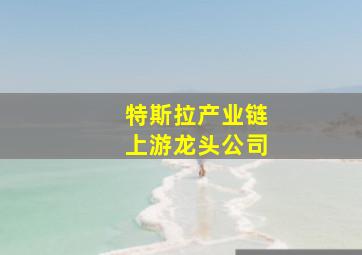 特斯拉产业链上游龙头公司