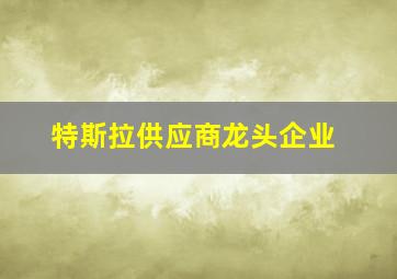 特斯拉供应商龙头企业