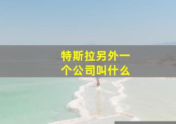 特斯拉另外一个公司叫什么