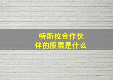 特斯拉合作伙伴的股票是什么