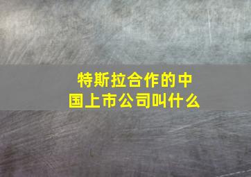 特斯拉合作的中国上市公司叫什么