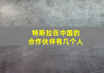 特斯拉在中国的合作伙伴有几个人