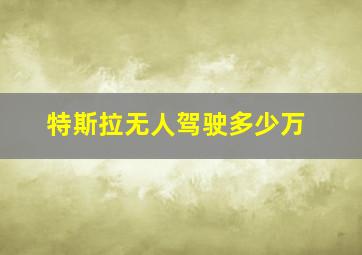 特斯拉无人驾驶多少万