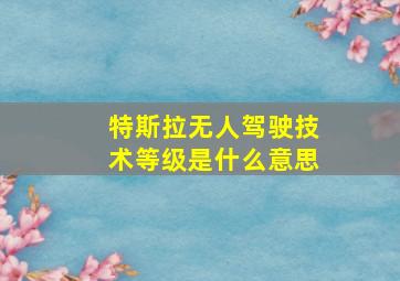 特斯拉无人驾驶技术等级是什么意思