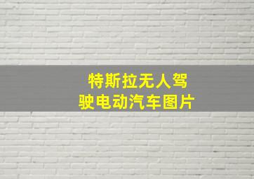 特斯拉无人驾驶电动汽车图片