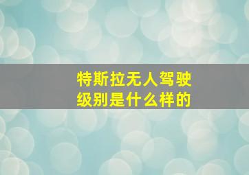 特斯拉无人驾驶级别是什么样的